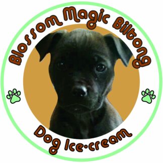 Blossom Magic - Biltong Ice Cream 60ML