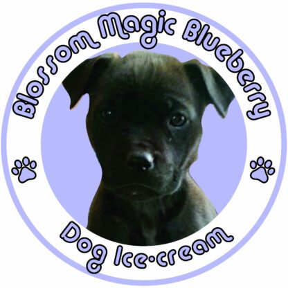 Blossom Magic - Blue Berry Ice Cream 200ML